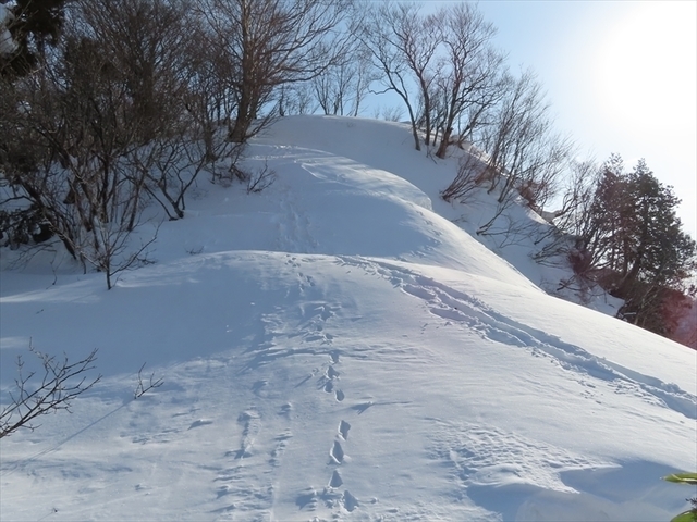 2021.01.16 鹿俣山_09h04m20s.jpg