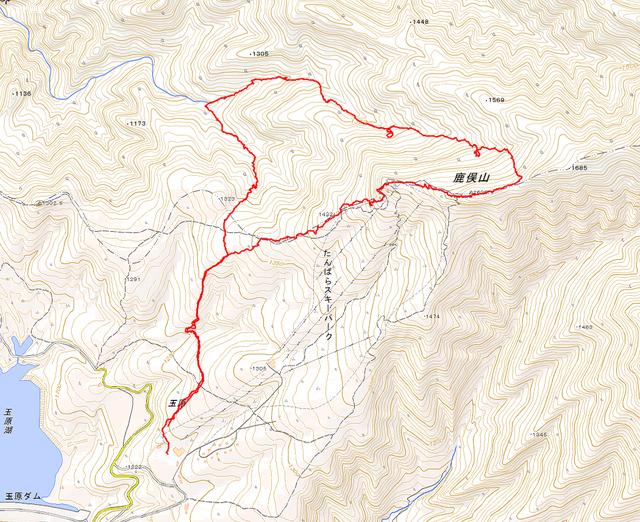 2021.01.16 鹿俣山.bmp