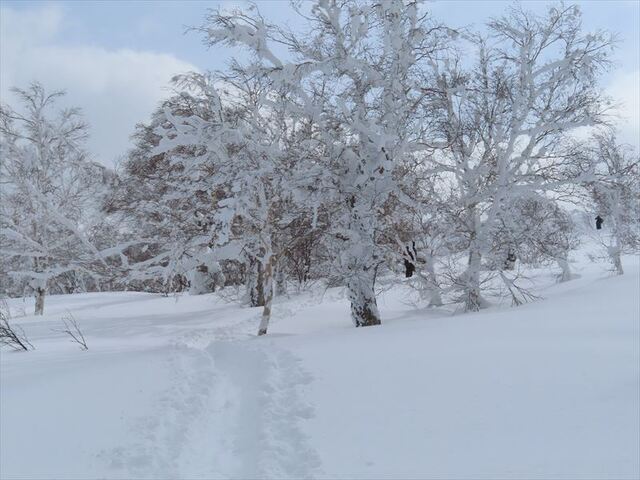 2024.02.09 朝里岳_11h52m30s.JPG