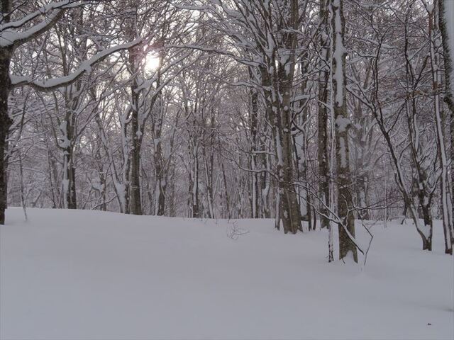 2024.12.28 玉原高原_08h38m14s.JPG
