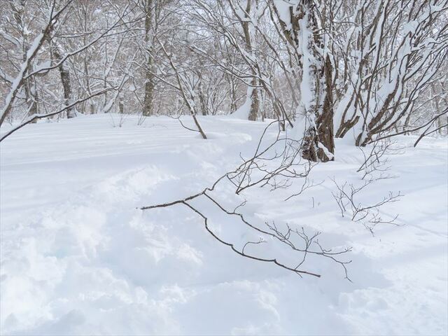 2024.12.28 玉原高原_11h20m52s.JPG
