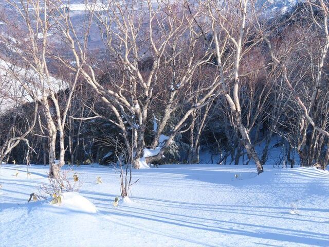 2025.02.15 角間山_08h19m44s.JPG