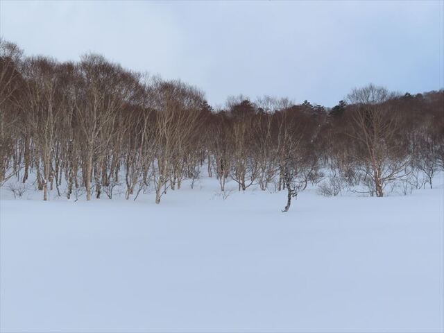 2025.02.23 高デッキ山_12h00m16s.JPG