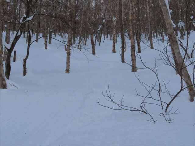 2025.02.23 高デッキ山_13h01m04s.JPG