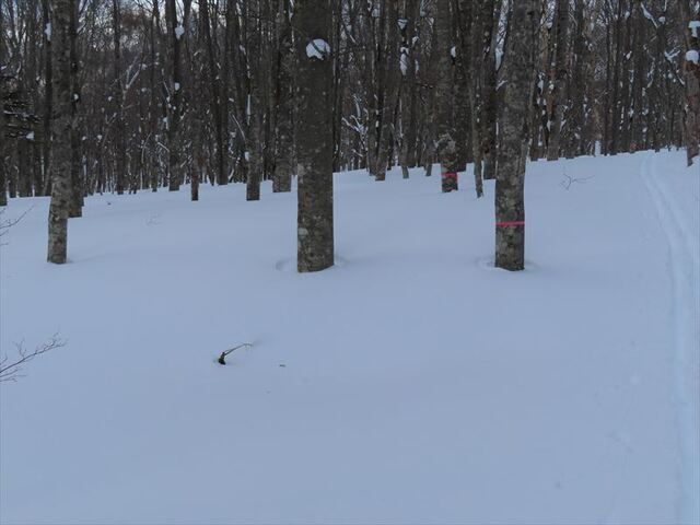 2025.02.23 高デッキ山_13h24m04s.JPG