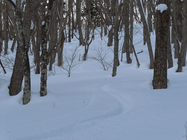 2025.02.23 高デッキ山_14h13m30s.JPG